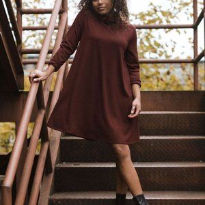 NWT Jackson Rowe Passage Turtleneck Dress